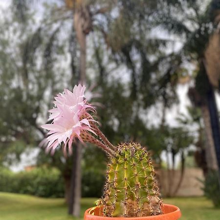 Villa Piruzzu Cv Torre Mulinazzo App P Чинізі Екстер'єр фото